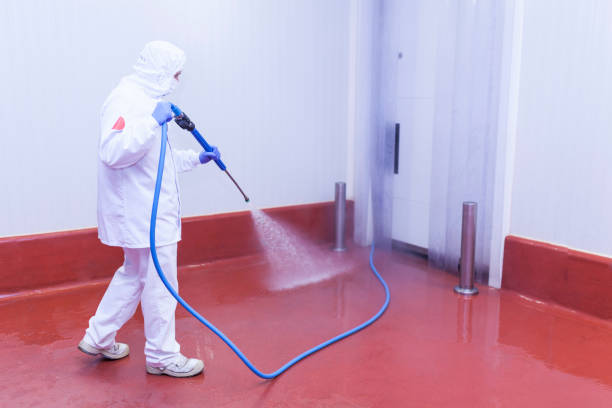 Spring Cleaning in Buckeye, AZ